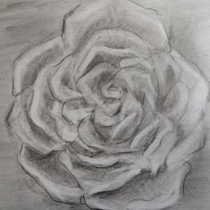 m ranali grafite3